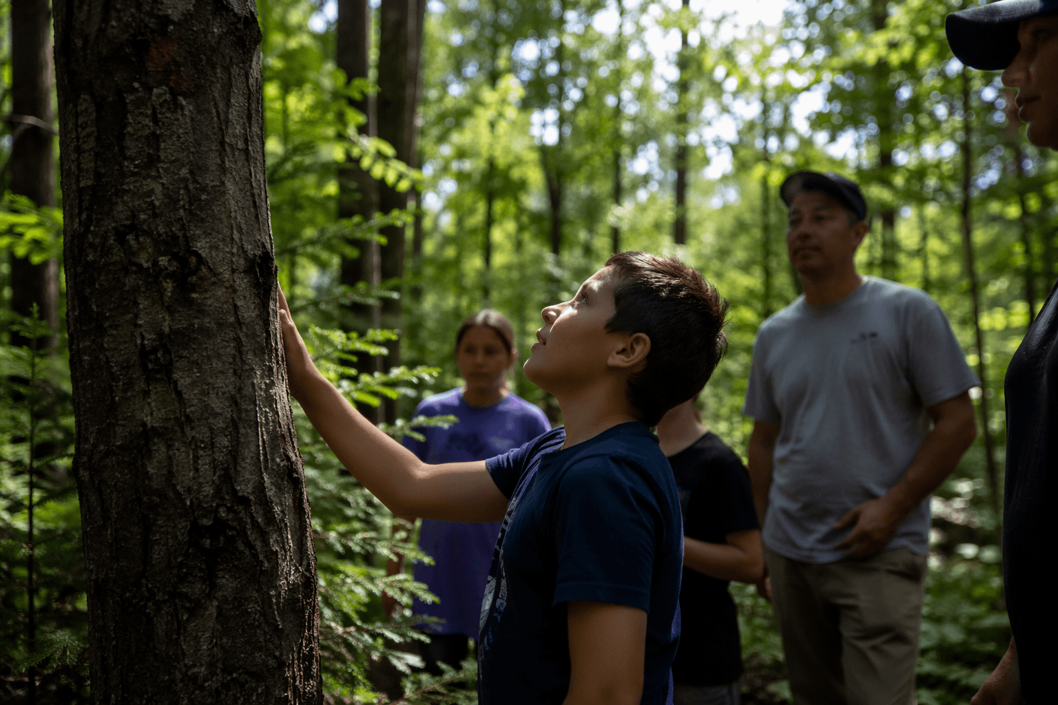 Into the Outdoors spotlights Menominee Nation’s sustainable forest stewardship
