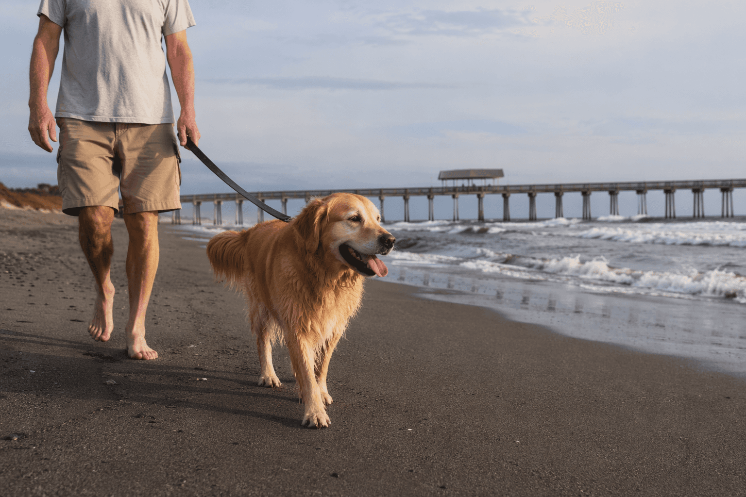 Wrightsville Beach weighs doubling dog fines, tighter beach access