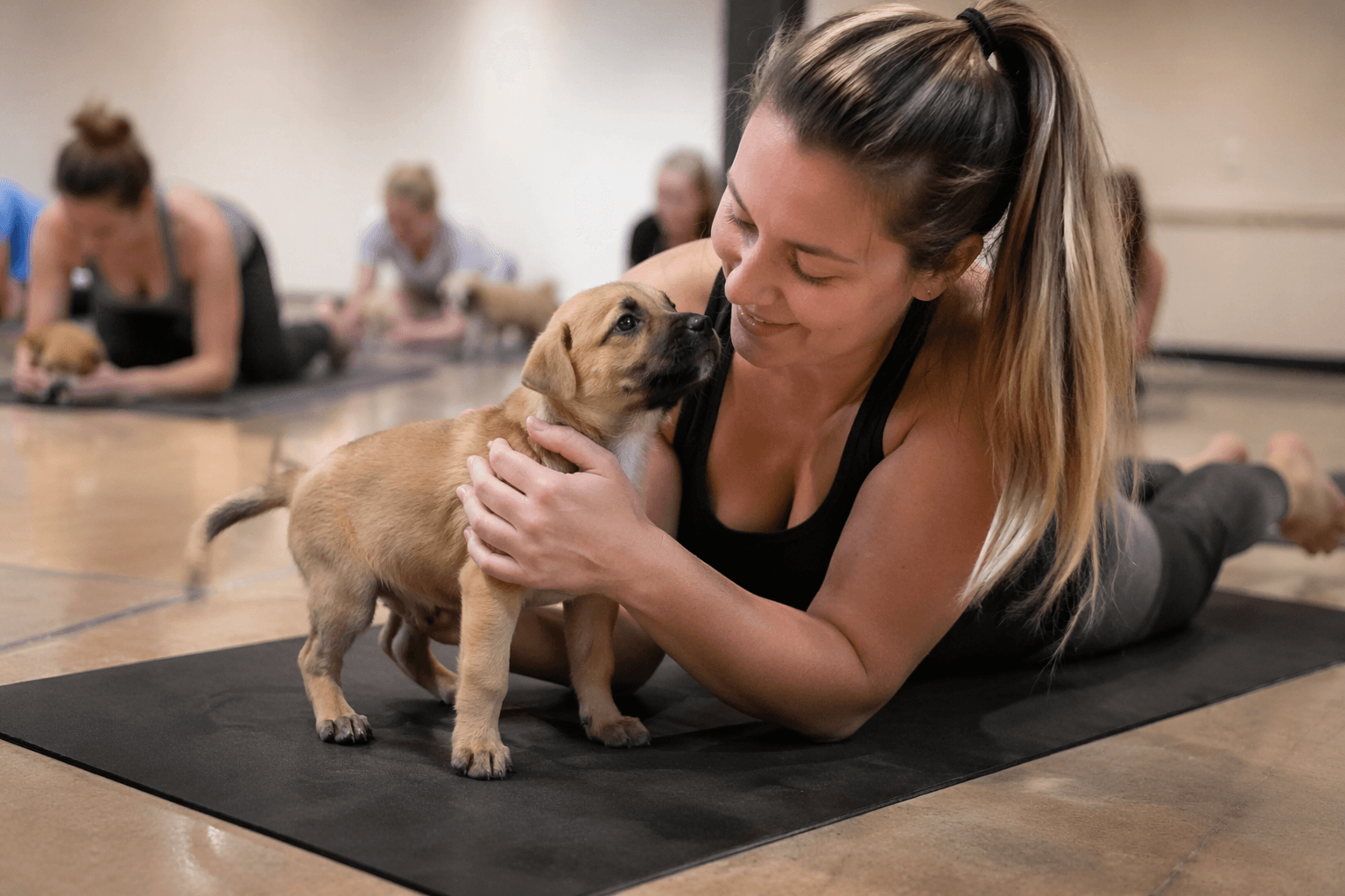 Puppy yoga FAQ shows how the trend is being packaged for buyers