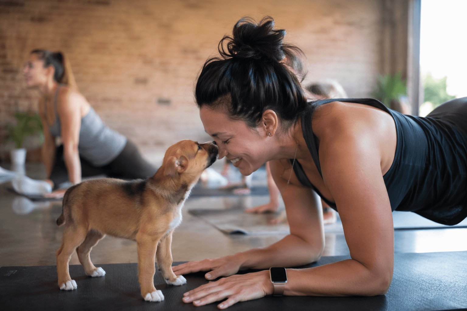 Fort Worth hosts puppy yoga with adoptable pups on June 13