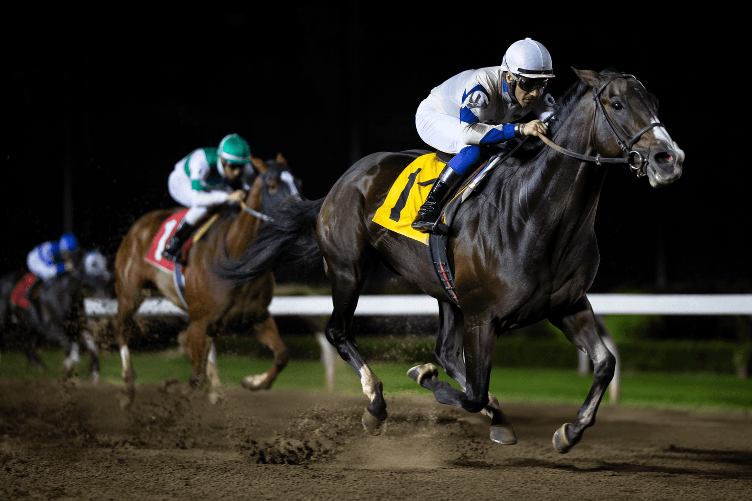 Cairo Surprise romps in John J. Reilly Handicap, extends streak to four