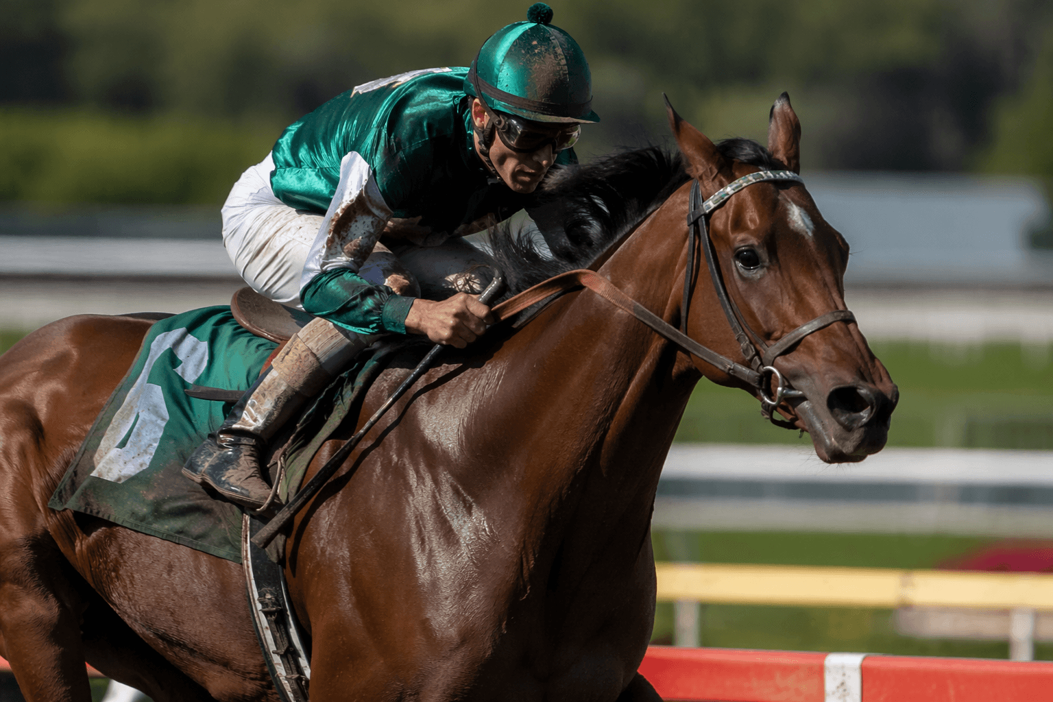 Majorca looks to extend win streak in Parx allowance test