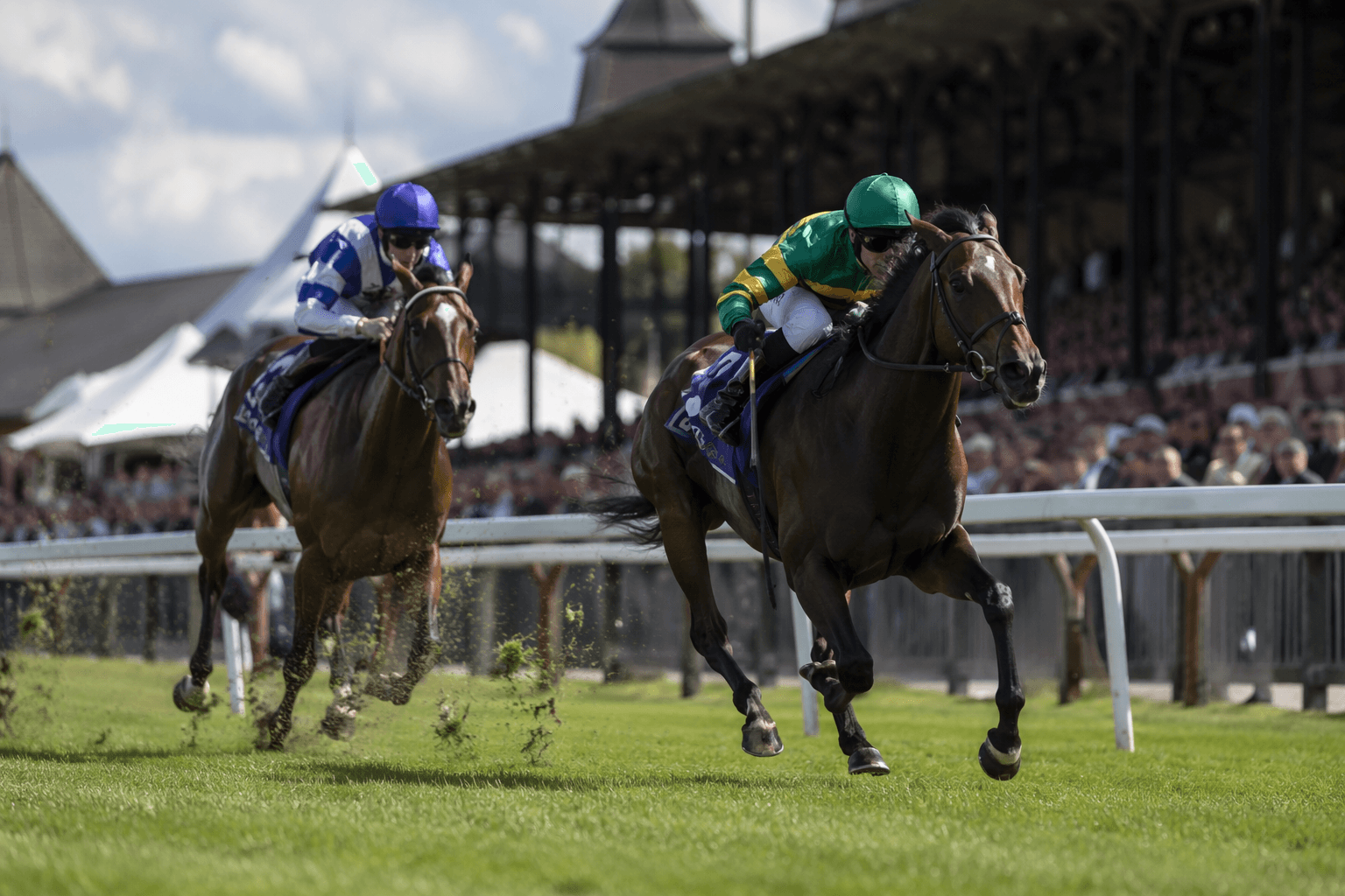 Reef Runner returns to Saratoga in loaded Jaipur Stakes test
