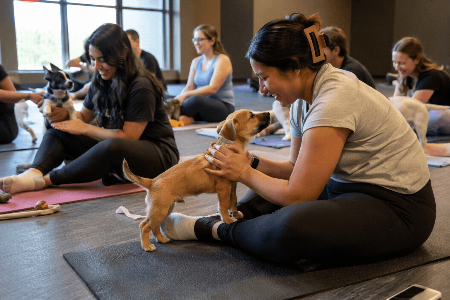 University of Houston-Downtown caps puppy yoga spots, requires shelter donations