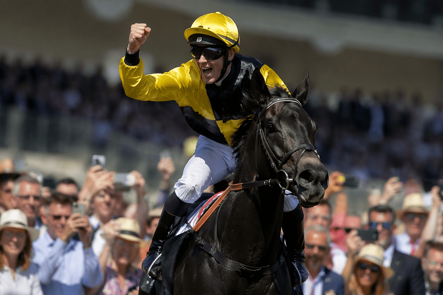 Wathnan Racing buys London Gold Cup winner Lost Boys for Ascot bid