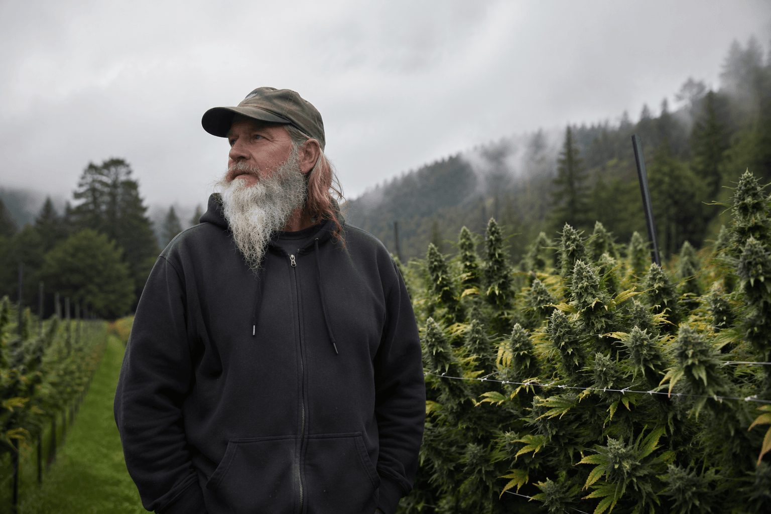 New documentary lets Humboldt legacy cannabis growers tell their story