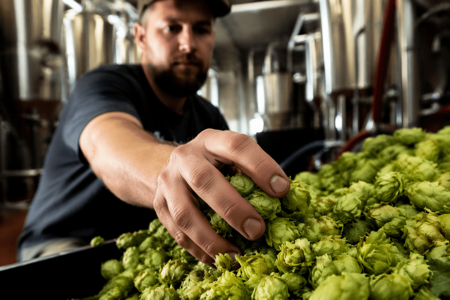 Icicle Brewing hands majority stake to family hop farm successors