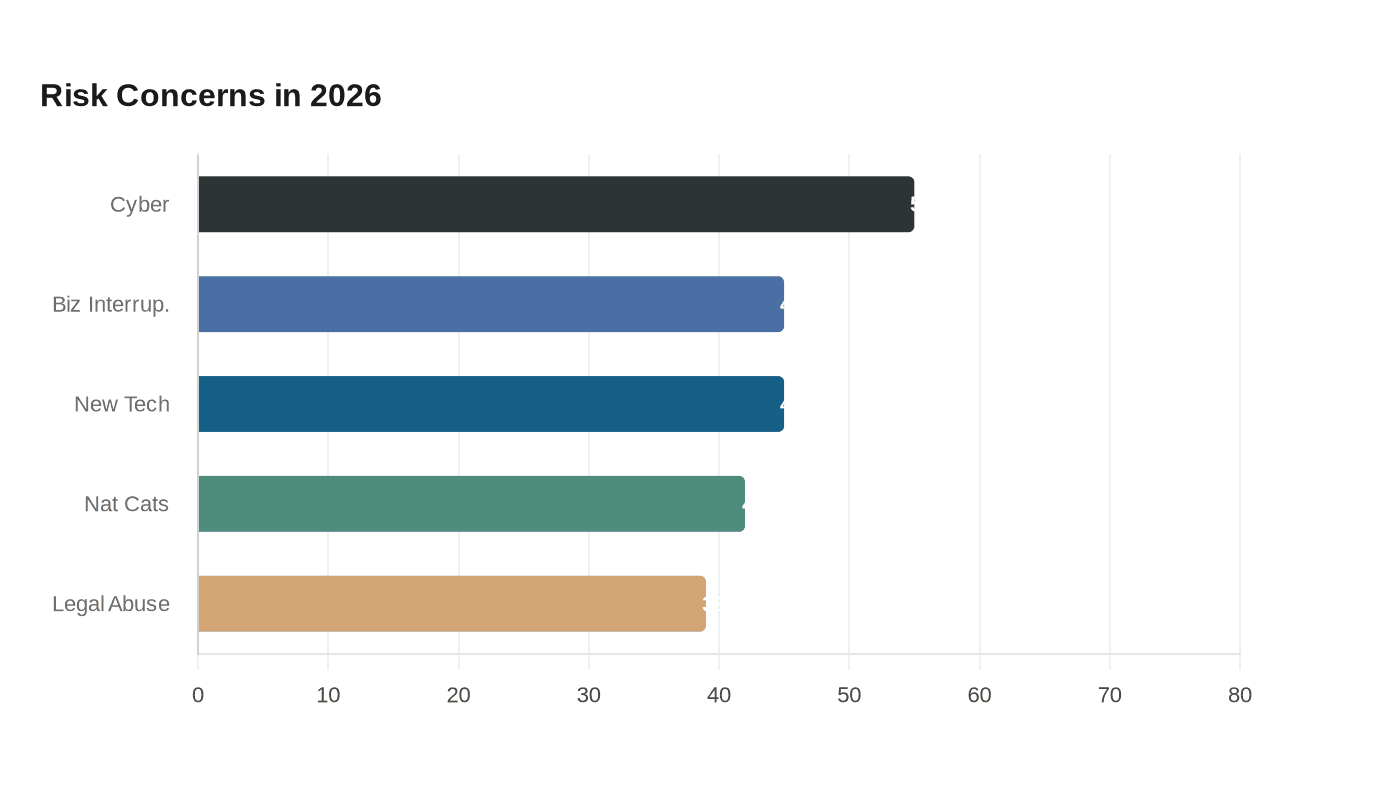 Risk Concerns in 2026