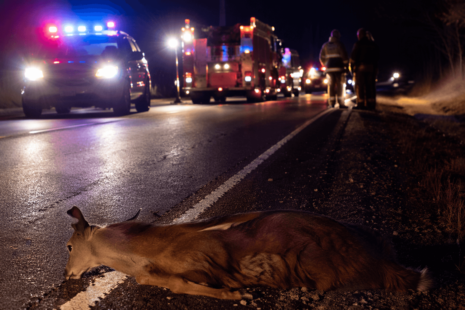 Stout man killed when motorcycle hits deer on US Route 52