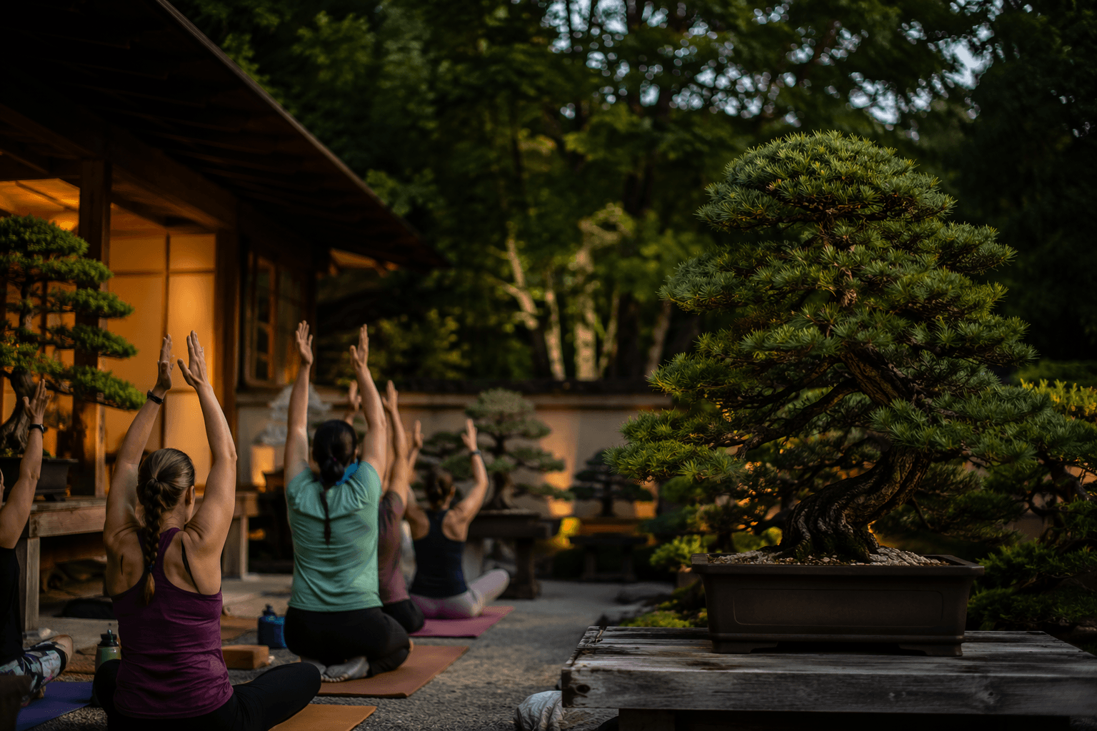Pacific Bonsai Museum hosts summer solstice wellness open house