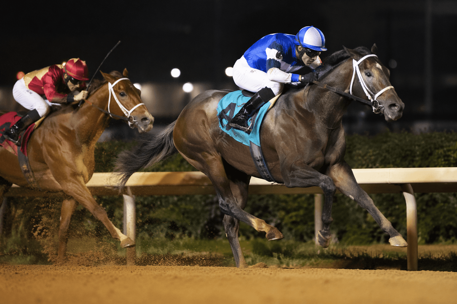 Magnificat wins Desert Stormer on dirt after turf allowance triumph