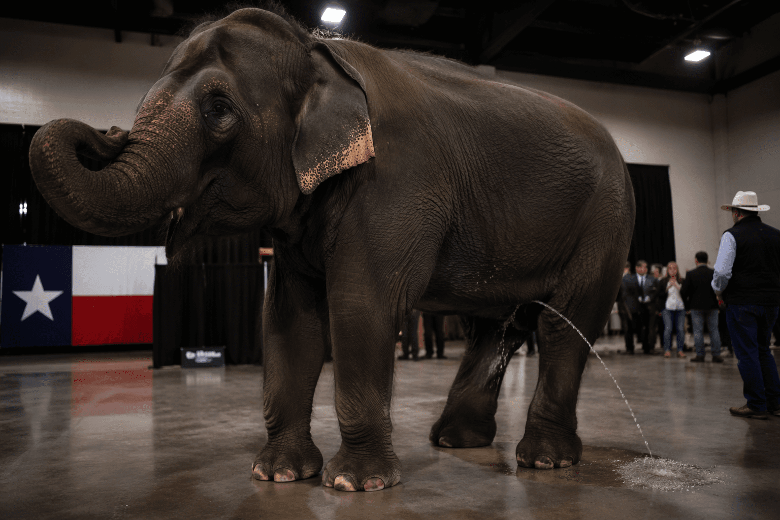 Texas Republicans shrug off World Cup fever in Houston