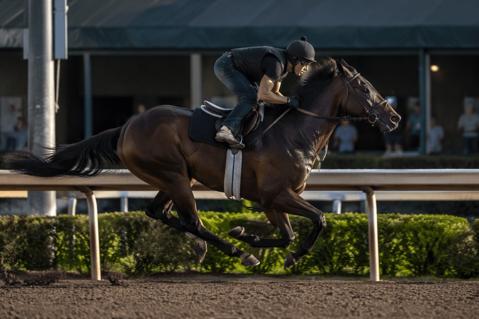 Vekoma filly clocks fastest quarter-mile at OBS June under-tack show