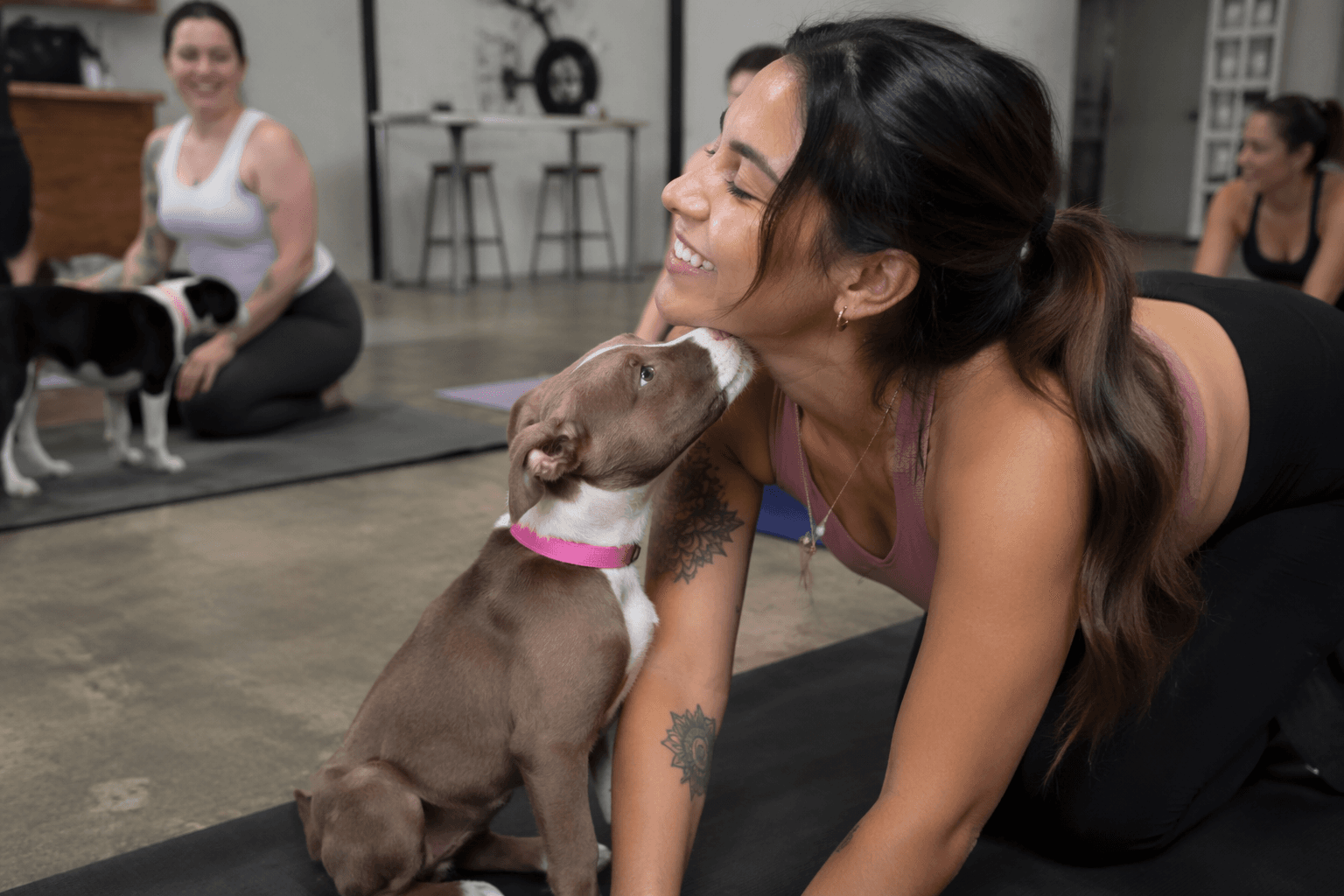 Brownsville puppy yoga class aims to boost shelter adoptions