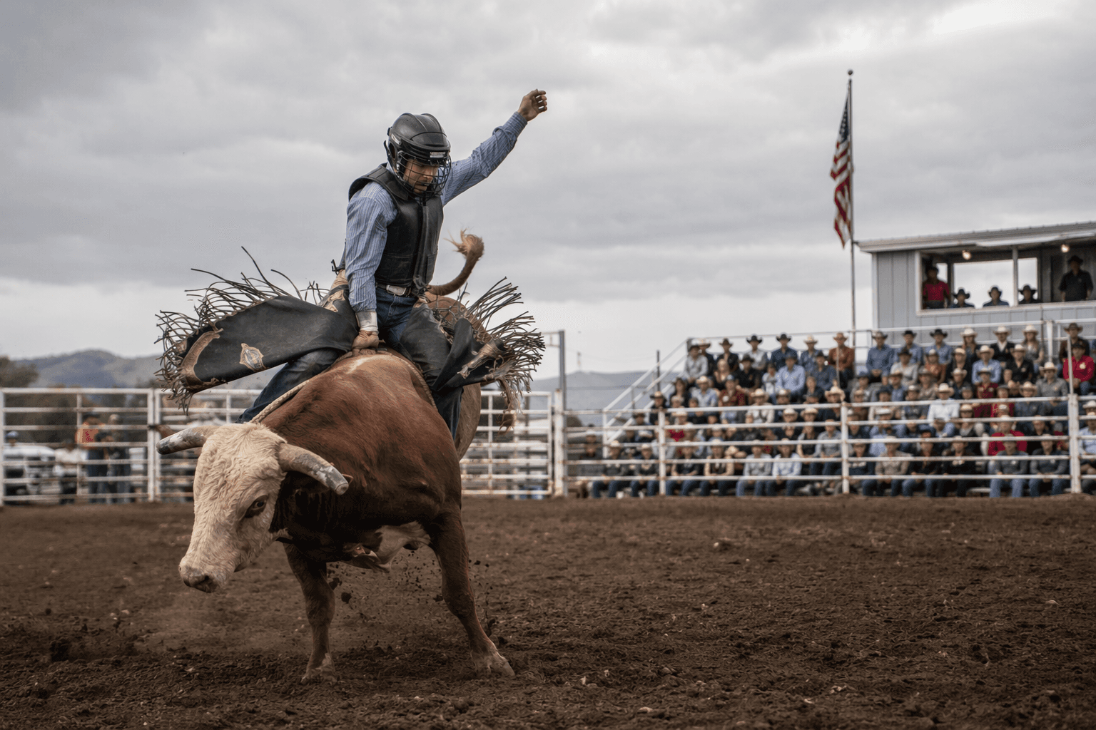 St. Johns sets July dates for 146th Pioneer Days Rodeo