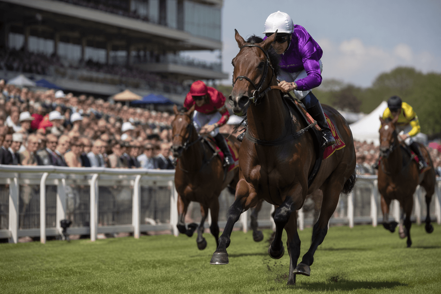 Reaching High targets Ascot Stakes as King and Queen plot royal win