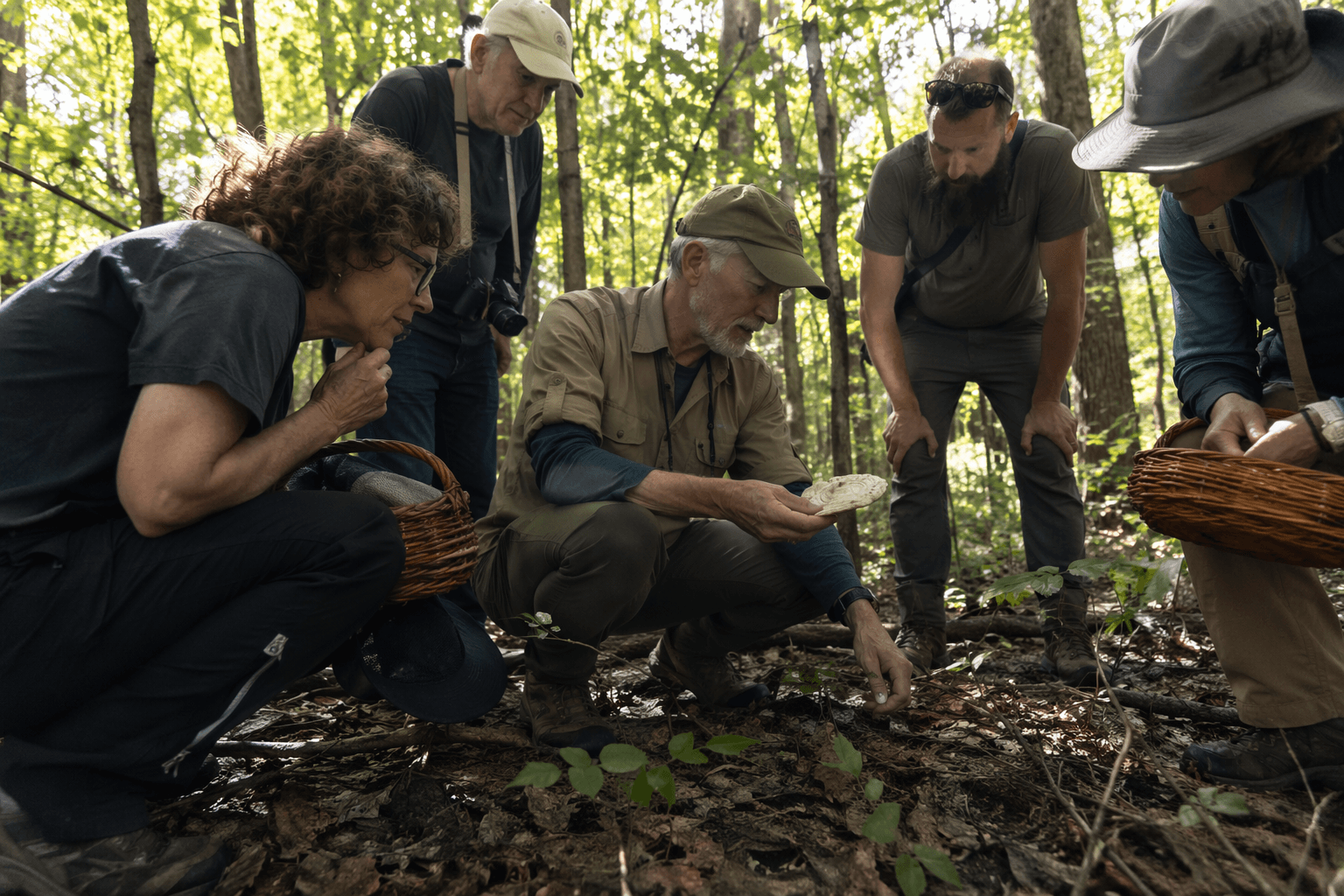 Texas mushroom foraging walk explores rare fungi at David Lewis Property