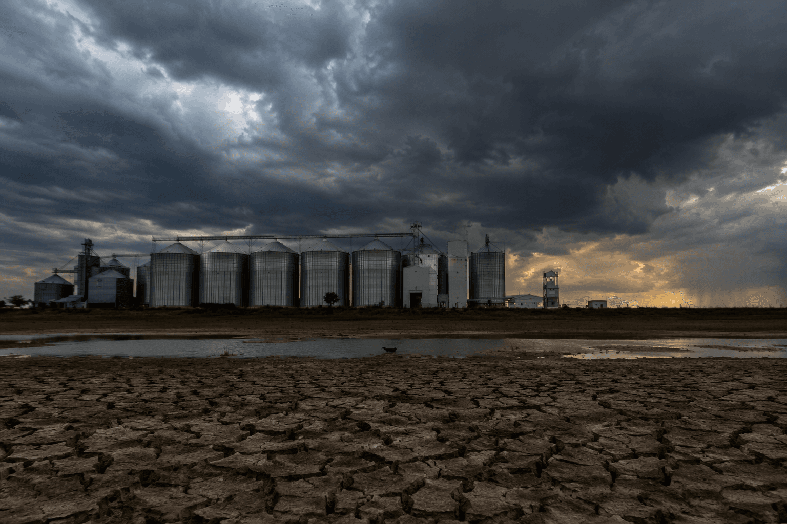 Super El Nino looms, but record crop stocks may blunt fallout
