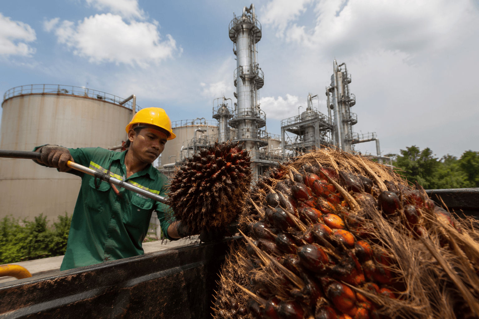 Indonesia targets July 2026 launch of B50 biodiesel mandate