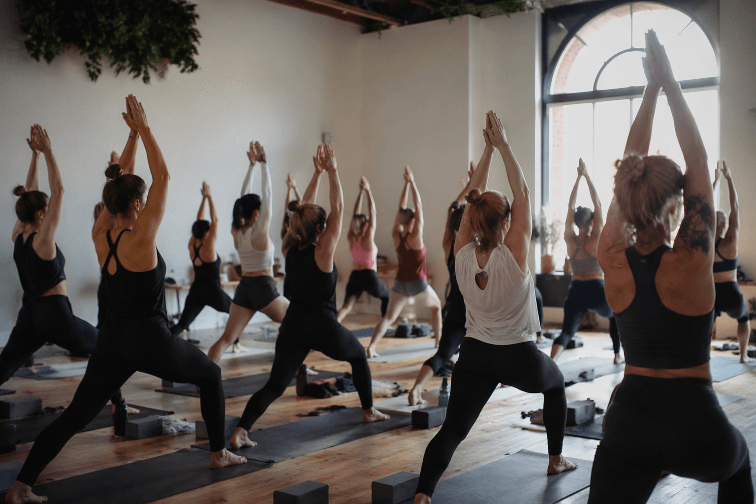 Willow Studio marks eighth anniversary with free community yoga day