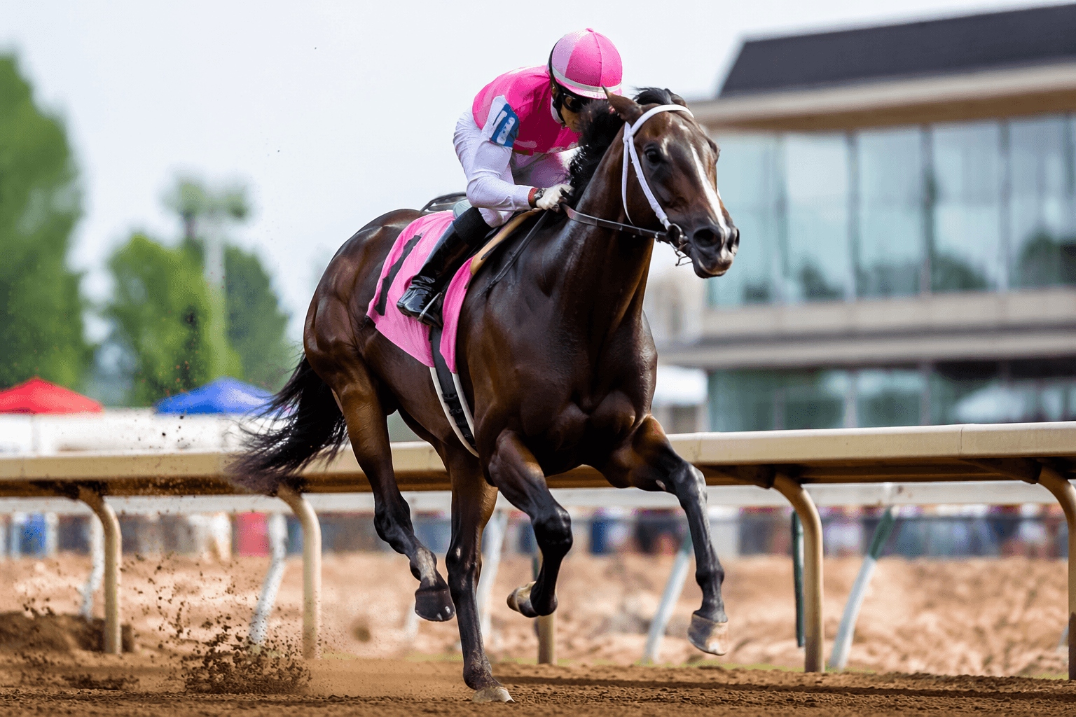 Smooch Up stays unbeaten with Malvern Rose Stakes romp at Presque Isle