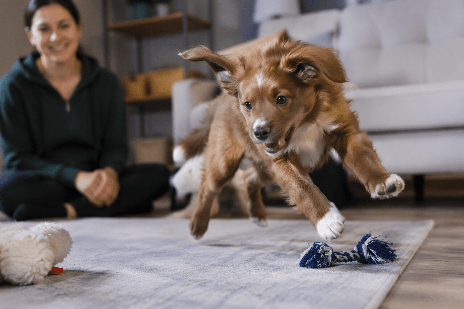 Why puppies get hyper, and when rest beats more play