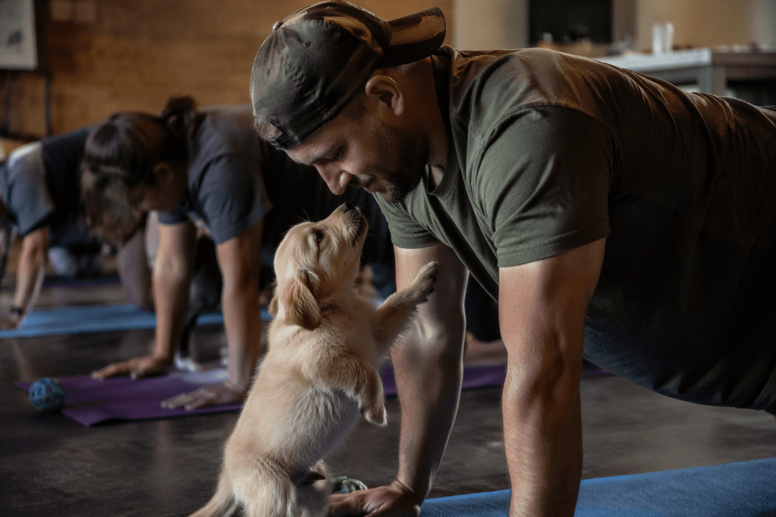 Puppy yoga fundraiser in Carbondale supports veterans with PTSD