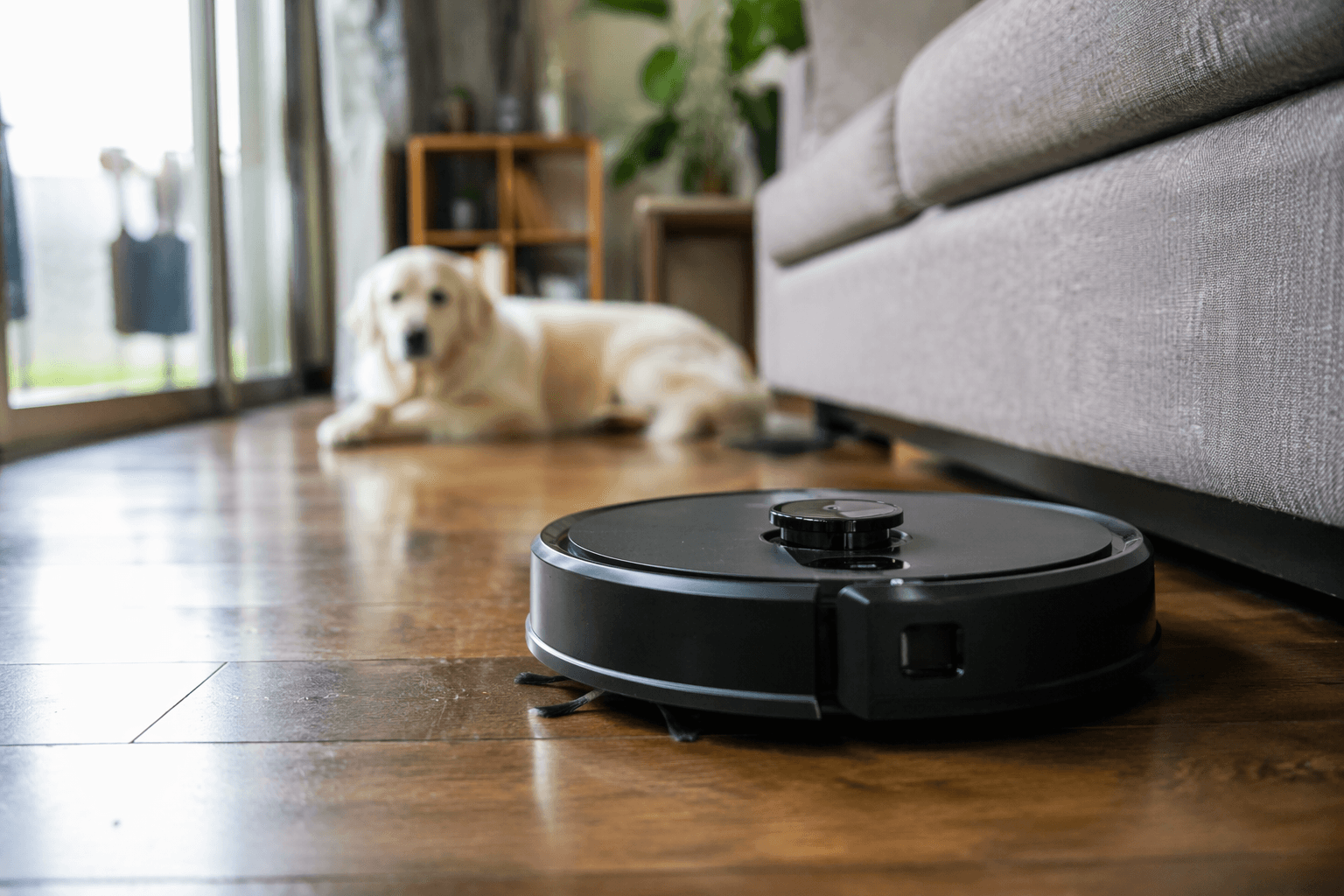 Prime Day robot vacuum deals drop from Roborock, Eufy and iRobot