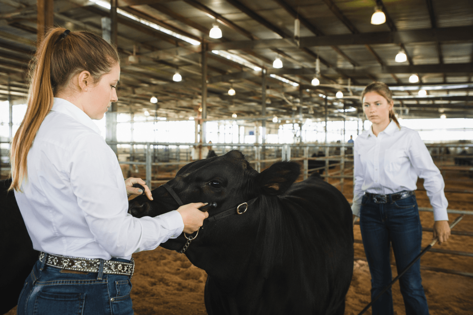 Major Wyatt Foundation boosts Duval County Fair youth programs