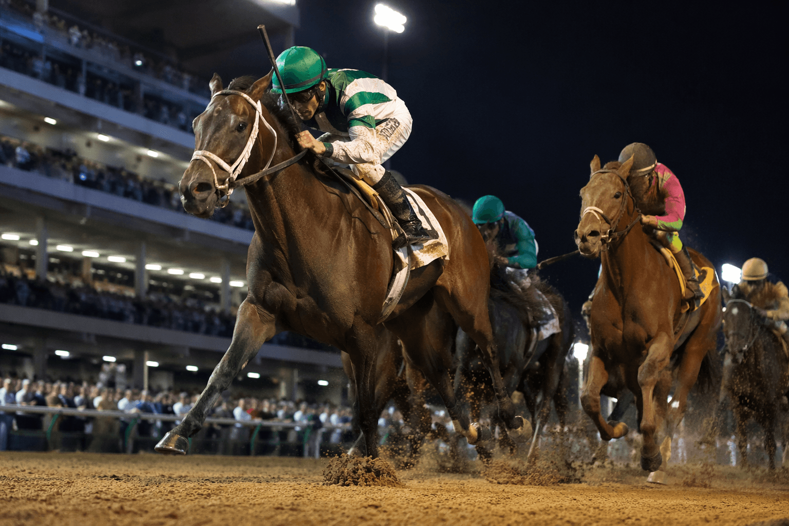 Regaled’s distance edge shapes stacked Fleur de Lis Stakes field