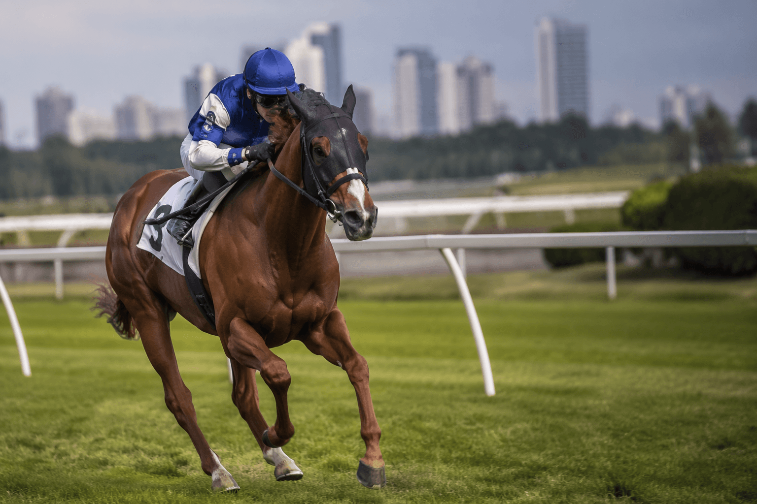Wyoming Bill stretches out for Woodbine’s Dominion Day Stakes test