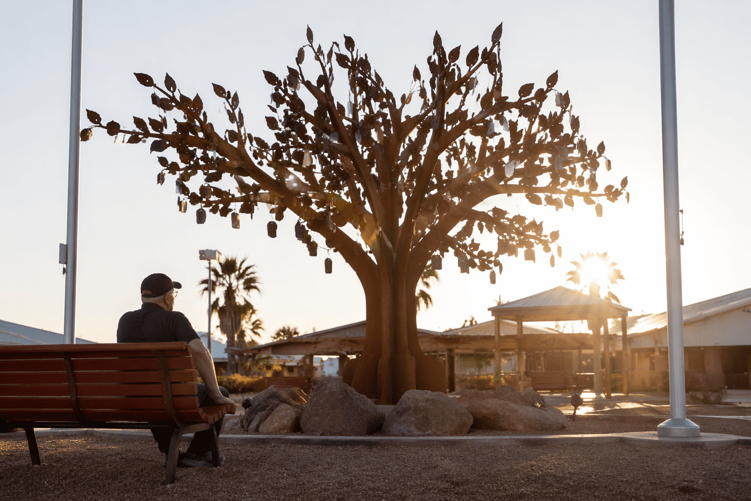 Arizona State Veterans Home unveils Remembrance Tree for fallen veterans