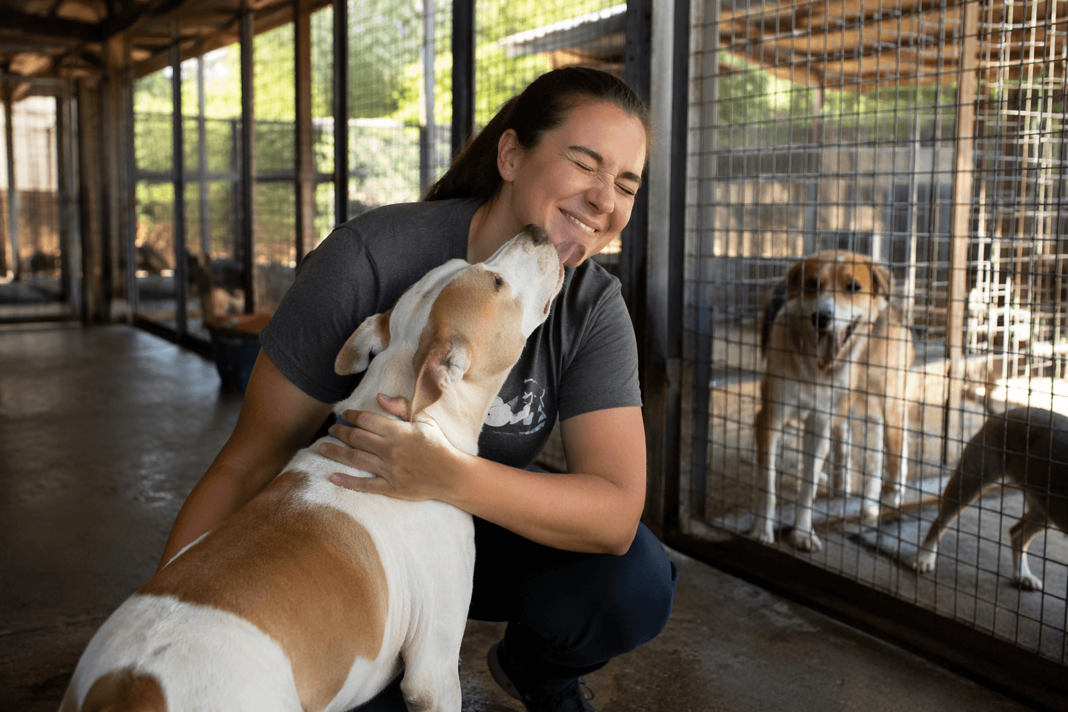 Fiesta Subaru donates $58,000 to Watermelon Mountain Ranch shelter