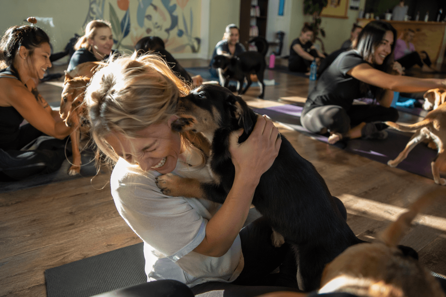 Fairbanks puppy yoga promises chaos, kisses, and questionable poses
