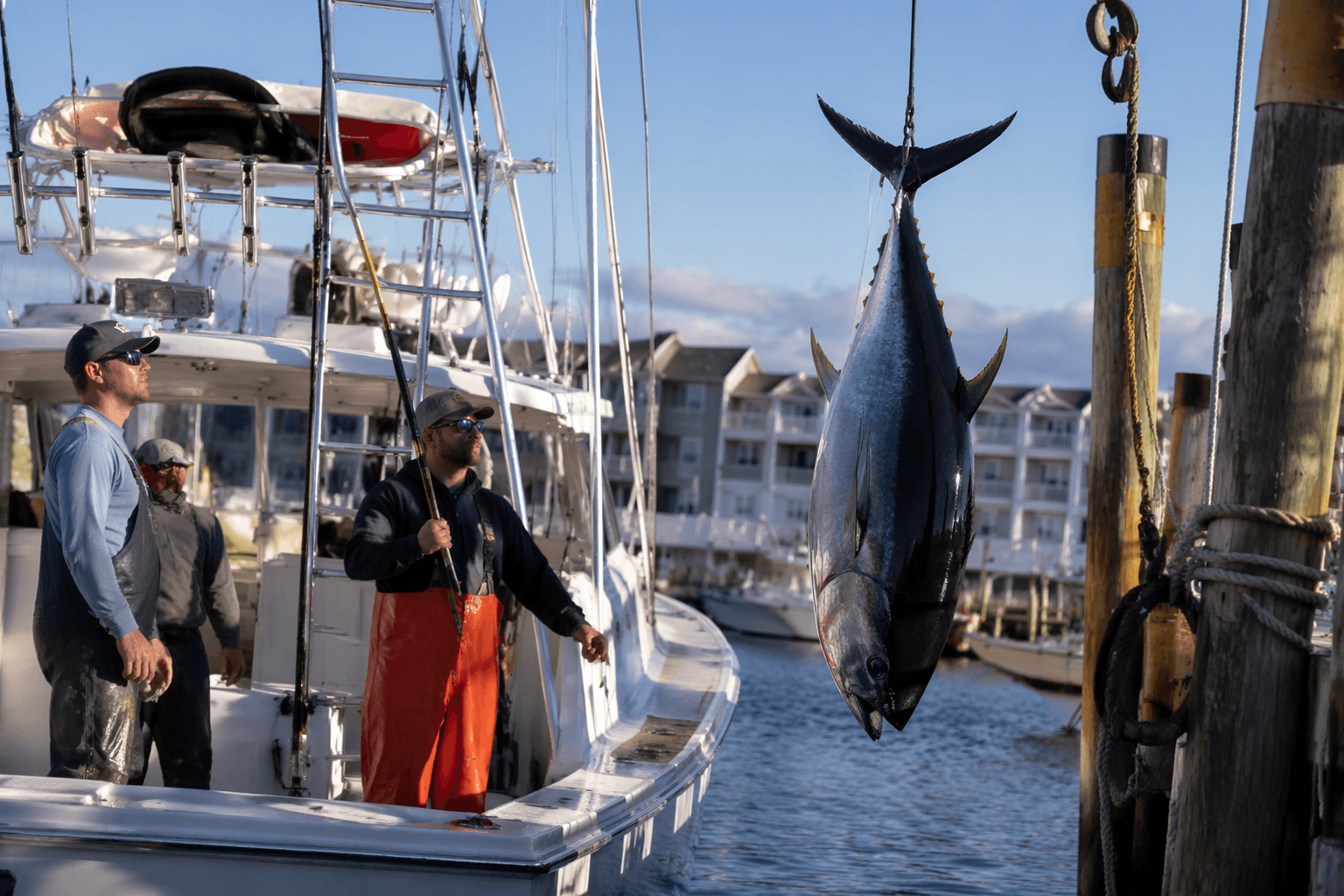 Ocean City boats land bluefin tuna during busy Father’s Day fishing