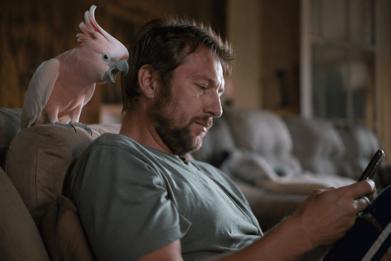 Cockatoo Tango demands dad's attention, highlights high-maintenance care