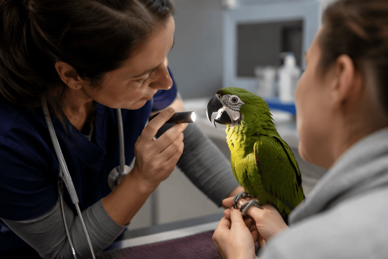 AAV bird owner resources stress regular avian vet checkups