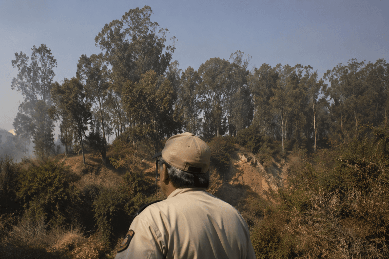 Grand jury warns Glen Canyon Park needs wildfire vegetation management
