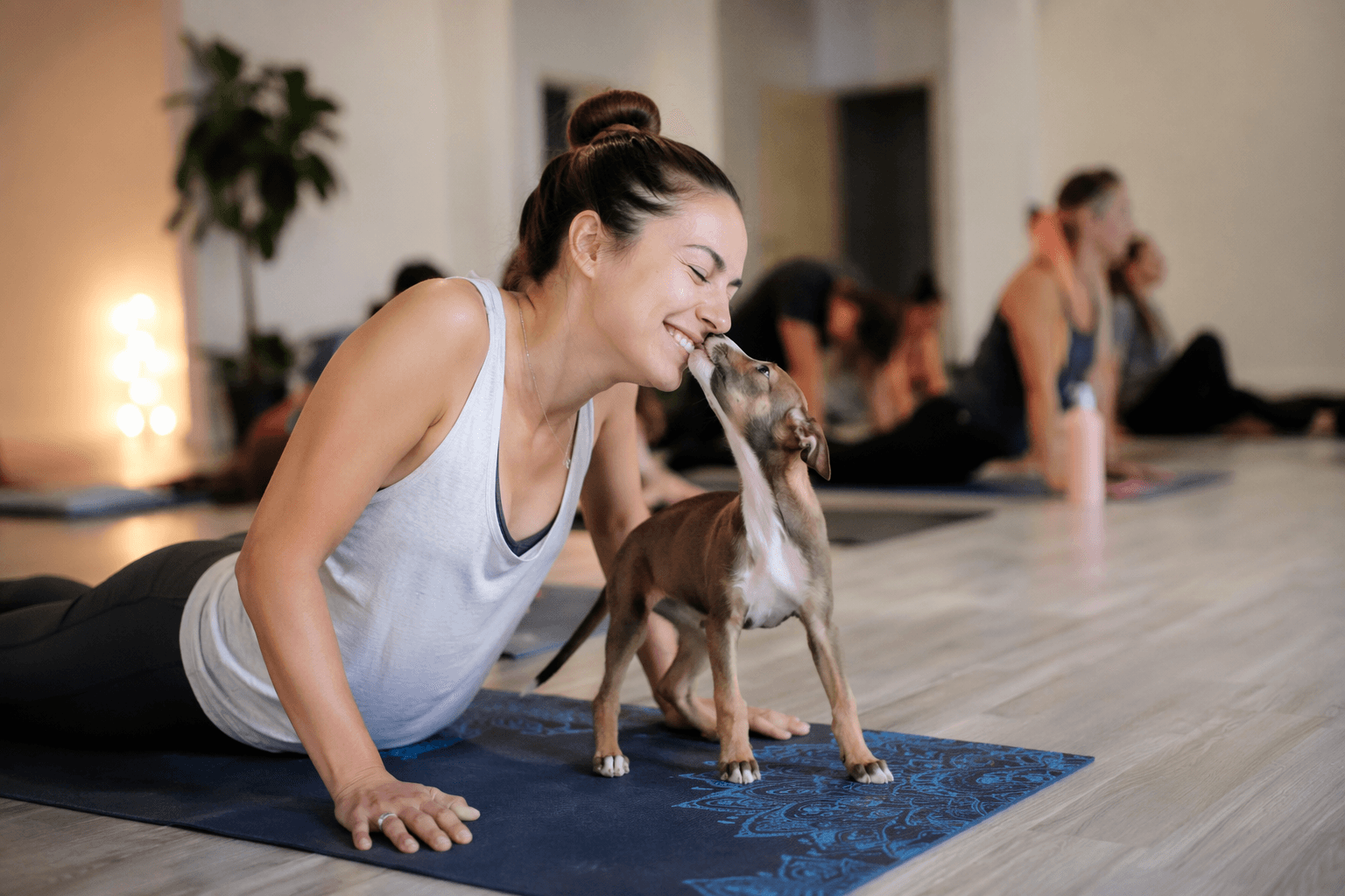 Coral Springs puppy yoga fundraiser adds rescue puppies to summer calendar