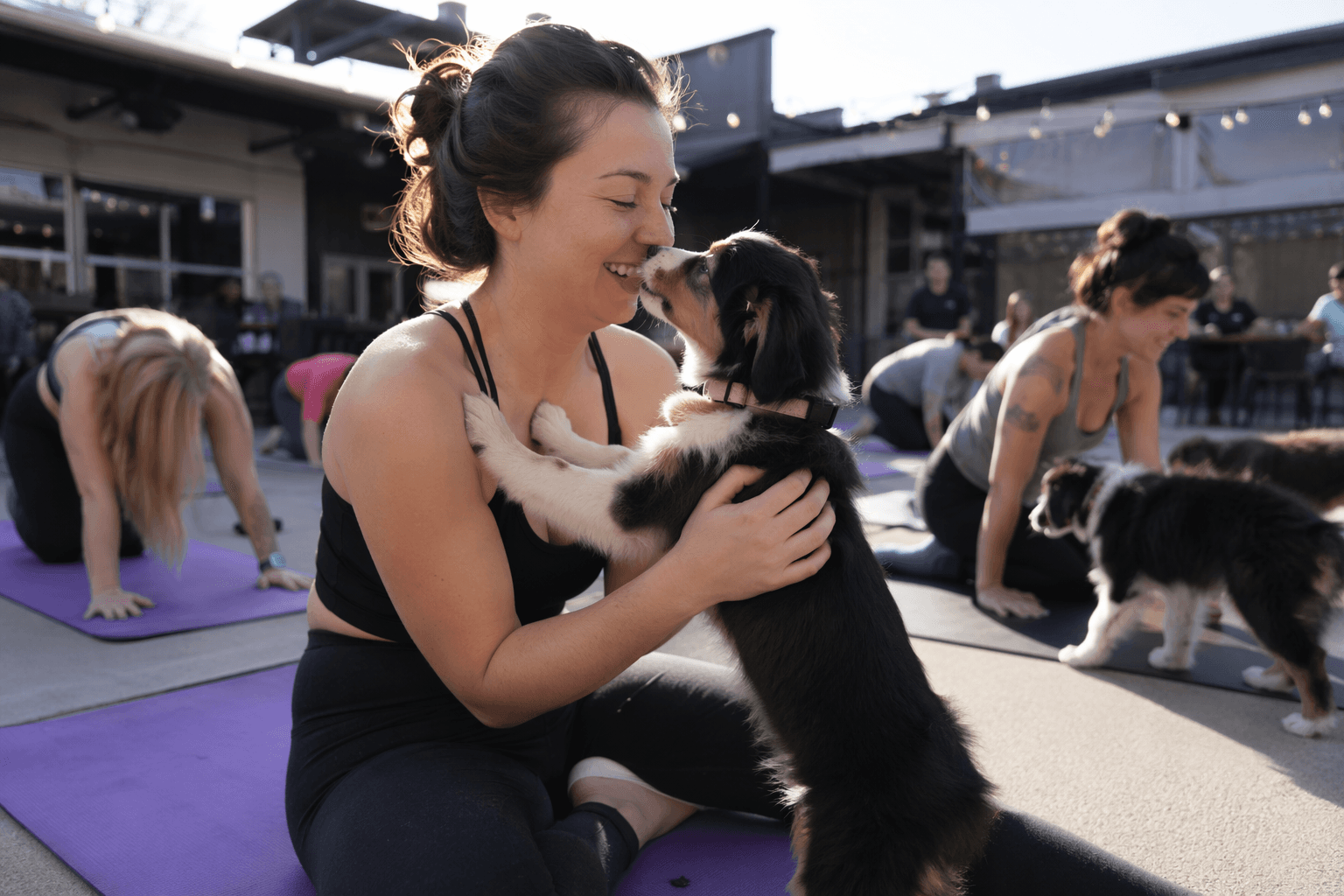 Puppy yoga in Wheat Ridge adds brunch and adoption appeal