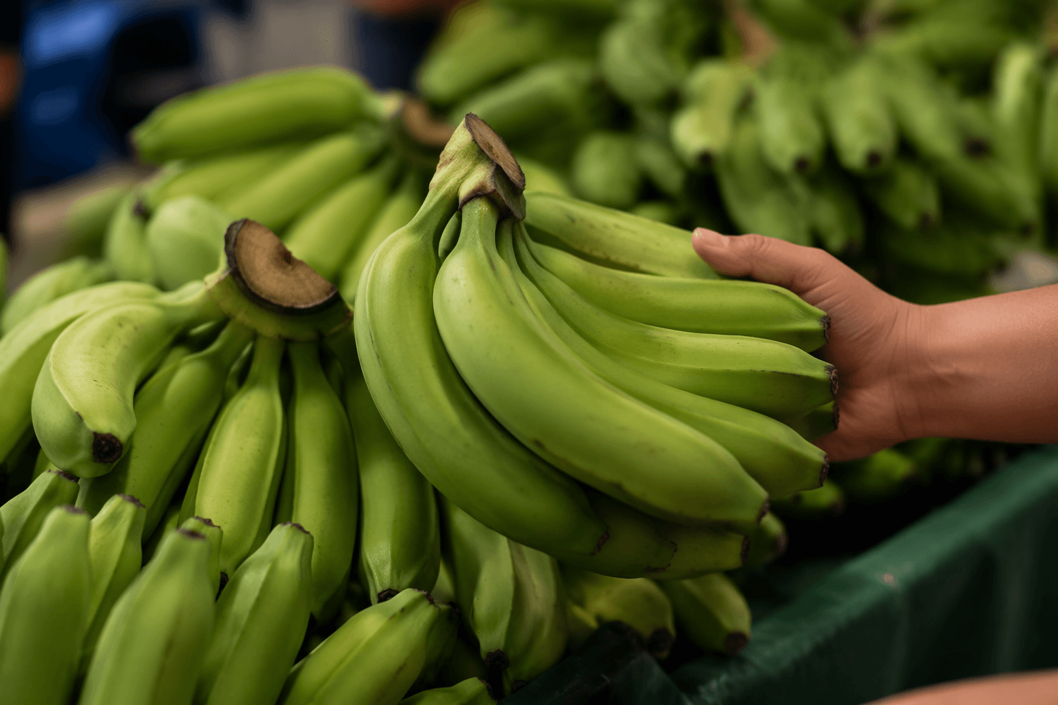 Experts say green bananas may offer a gut-health boost