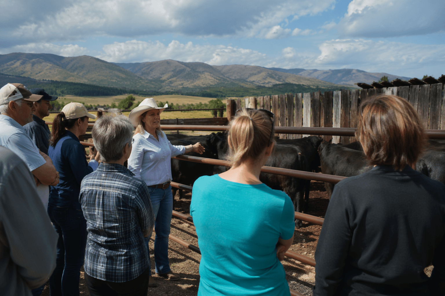 Albany County CattleWomen to host free ranch tour in Laramie