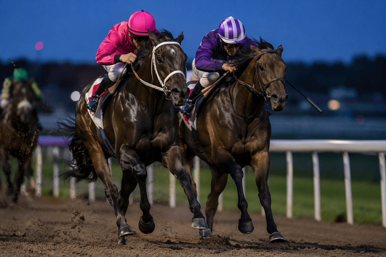 Botagoz reels in Diamond Rain to win Hoppings Fillies' Stakes