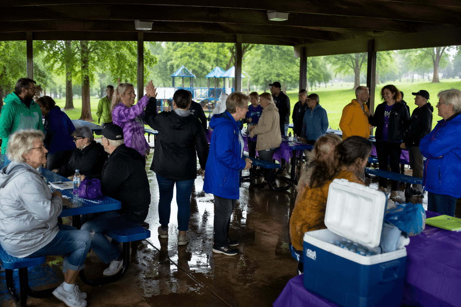 Rain moves Living Alternatives walk fundraiser under shelter at Nichols Park