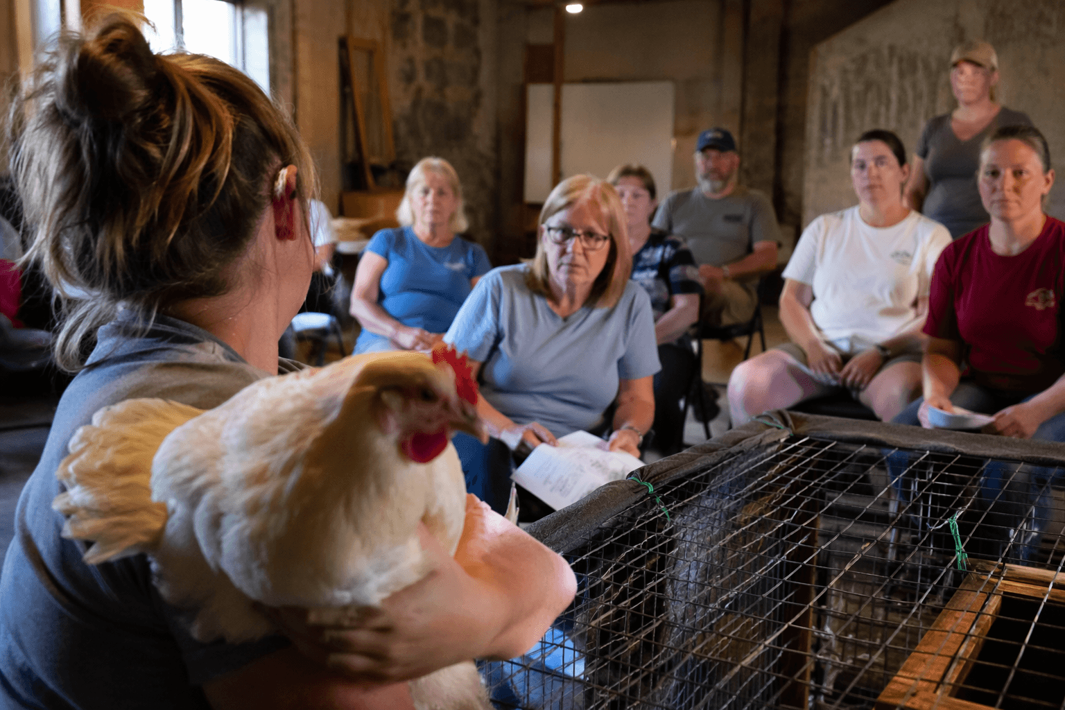 Macon event teaches backyard chicken basics for self-sufficient flocks