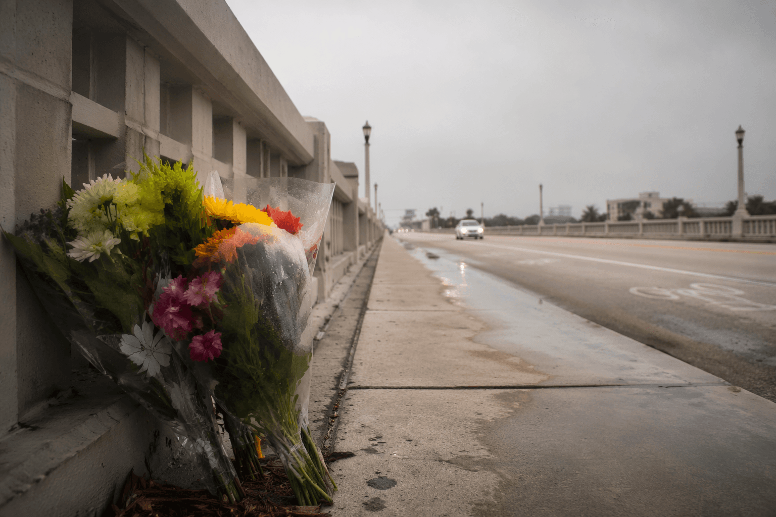 Broward mourns retired special education teacher killed in hit-and-run crash
