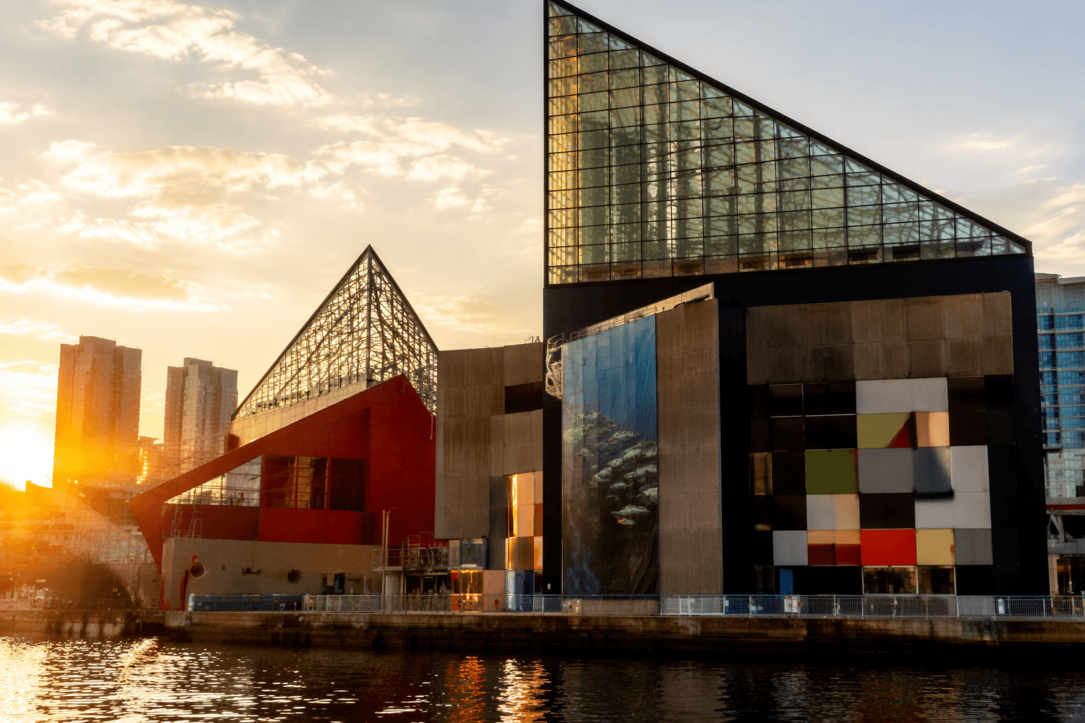 National Aquarium names Jennifer Driban as next CEO in Baltimore