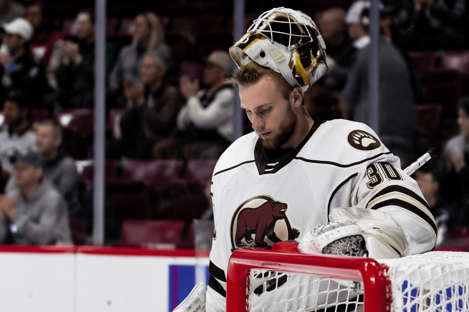 Capitals decline offers to Hofer, Bjorklund and Vikman, reshaping depth