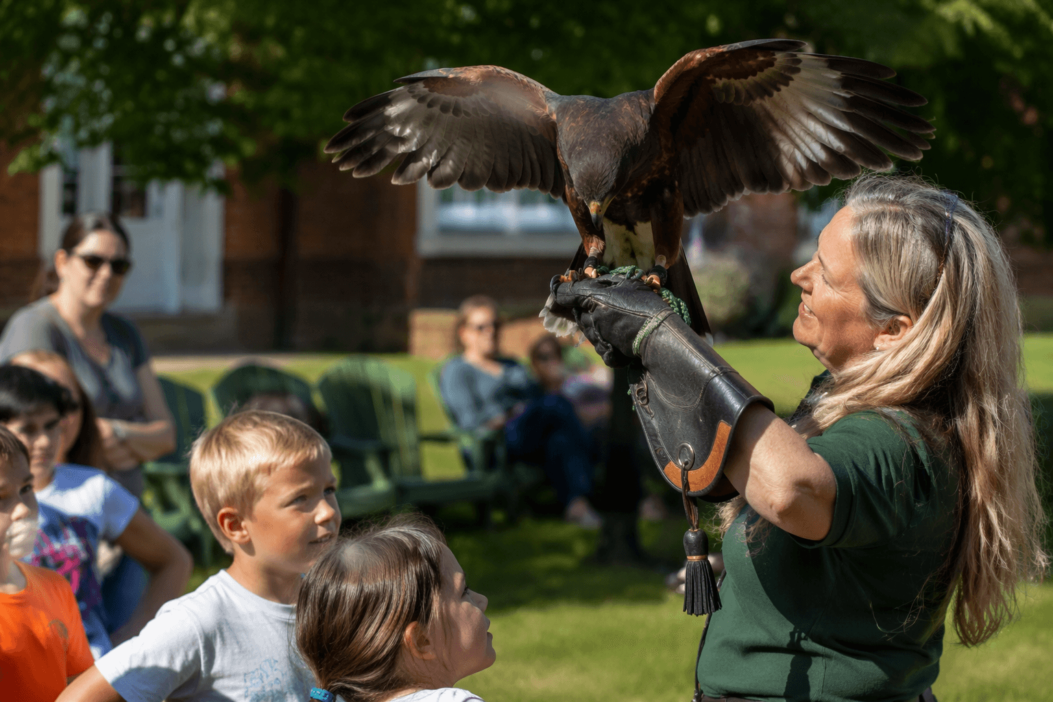 Harris hawk meets families in Appomattox library falconry program