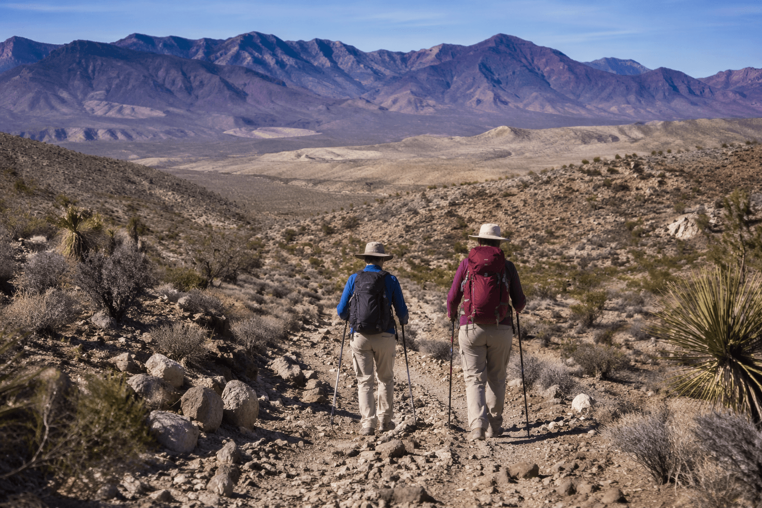 Pahrump Valley trails offer year-round desert access in Nye County